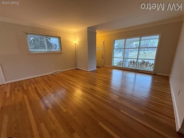 1204 Montrose Ave - Photo 4 of 20