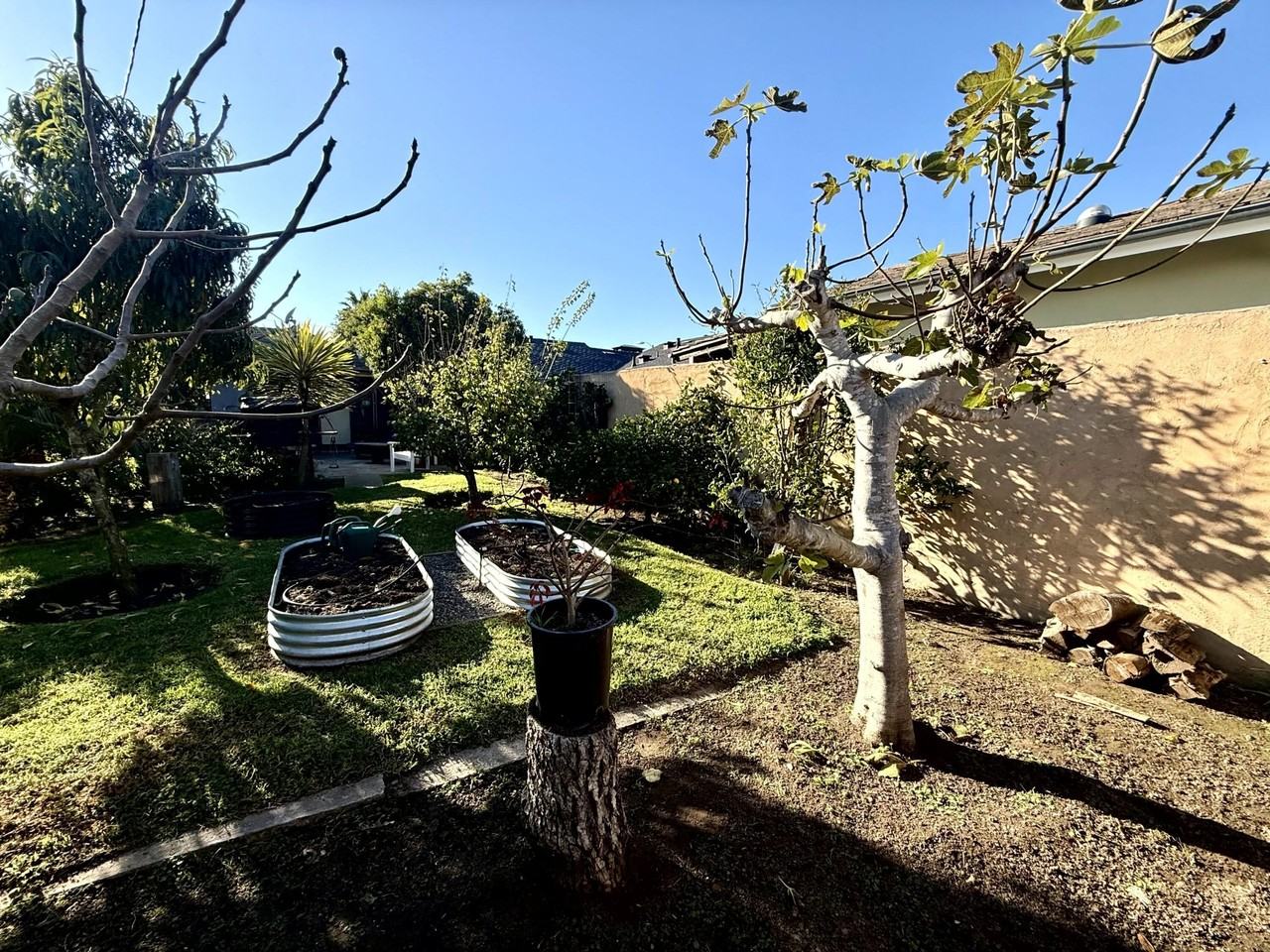 114 La Plata - Photo 5 of 47