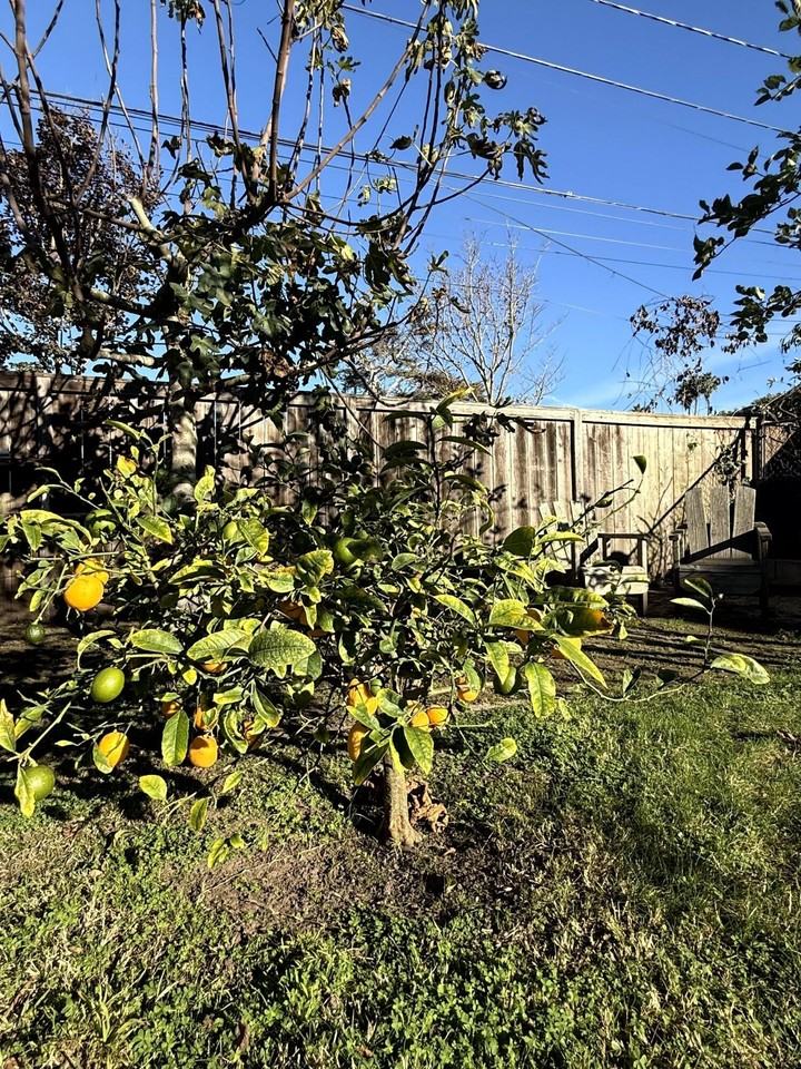 114 La Plata - Photo 7 of 47