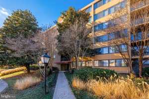 featured image of 16 S Van Dorn St Apt 506 #506