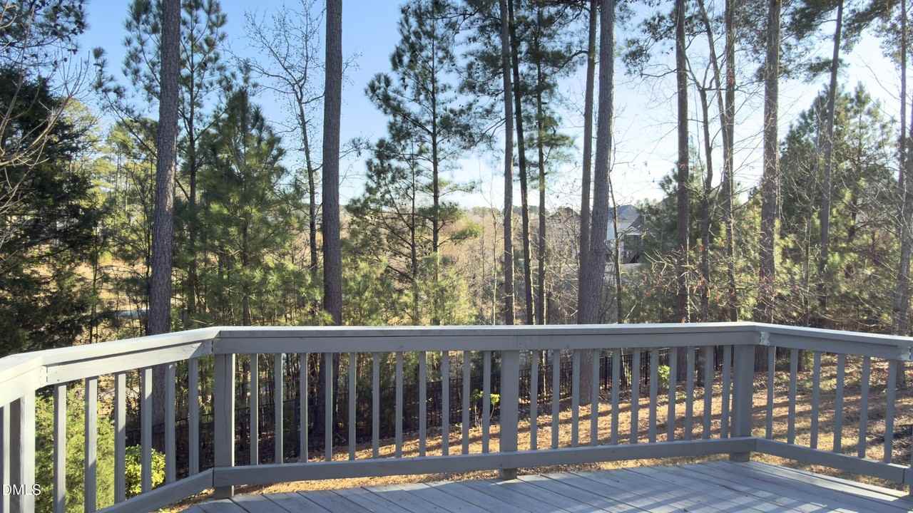 112 Brave River Ct - Photo 7 of 46