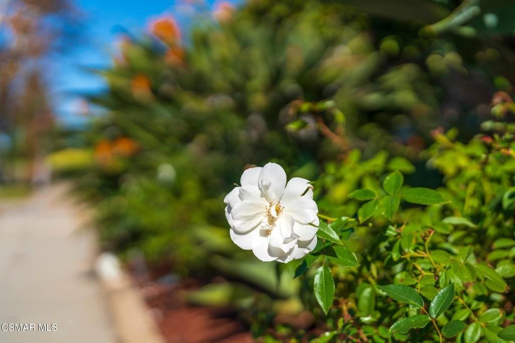 4524 Greengate Ct - Photo 7 of 50