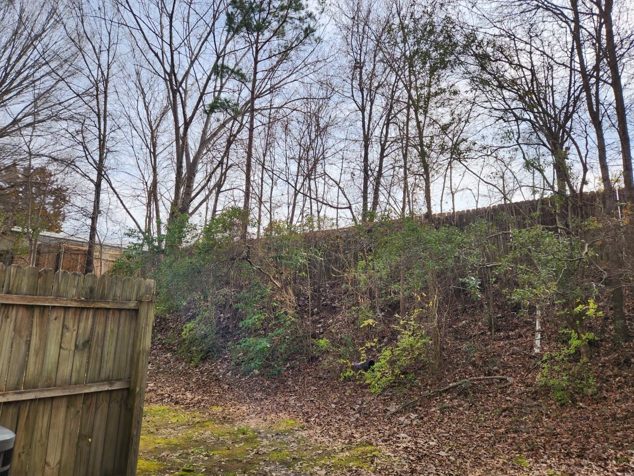 157 Pounds Ave Sw - Photo 4 of 16