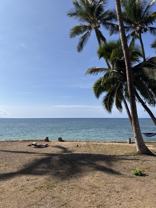 1756 Halama St #MAIN - Photo 1 of 1