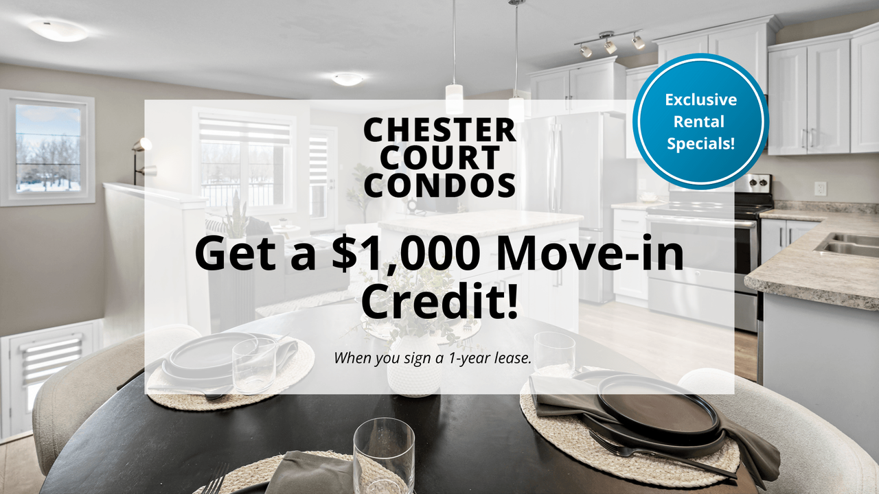 Chester Court Condos - Photo 2 of 31