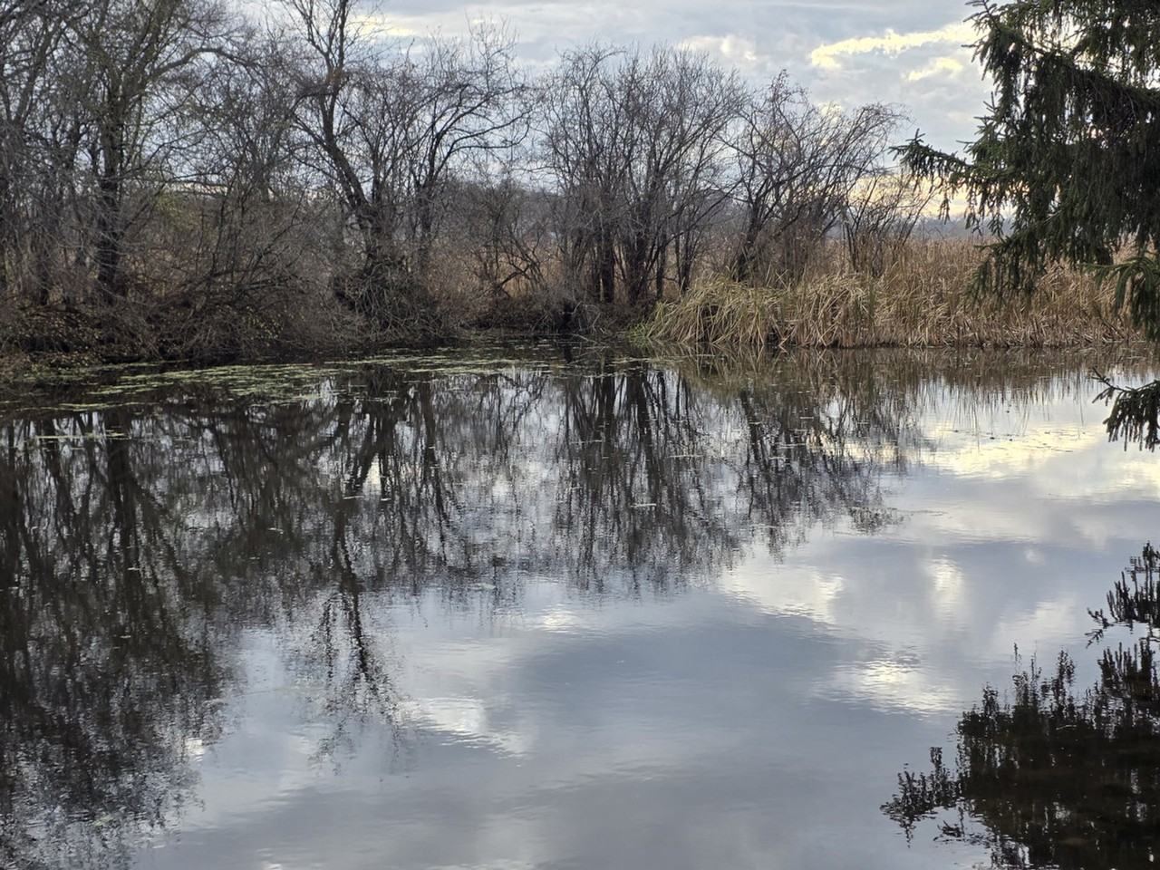 26229 93rd St #1374788P - Photo 6 of 50