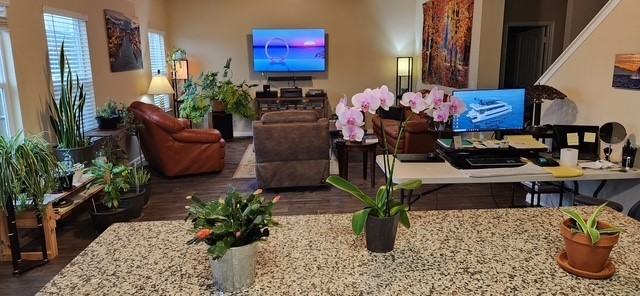 132 Cibolo Creek Dr #132 - Photo 3 of 11