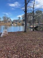 featured image of 61 Duckbill Rd