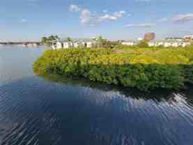 2506 N Rocky Point Dr #475 - Photo 1 of 1