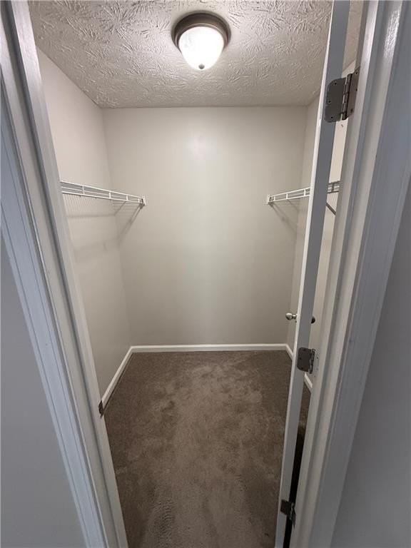 50 Ryan Loop - Photo 6 of 7