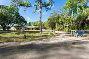 featured image of 169 Armadillo Way