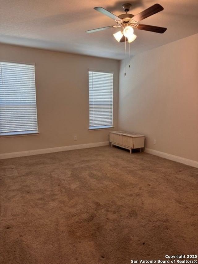 3615 Tinted Copper - Photo 3 of 9