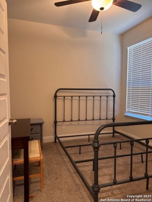 3615 Tinted Copper - Photo 5 of 9