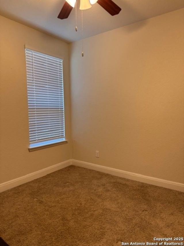 3615 Tinted Copper - Photo 6 of 9