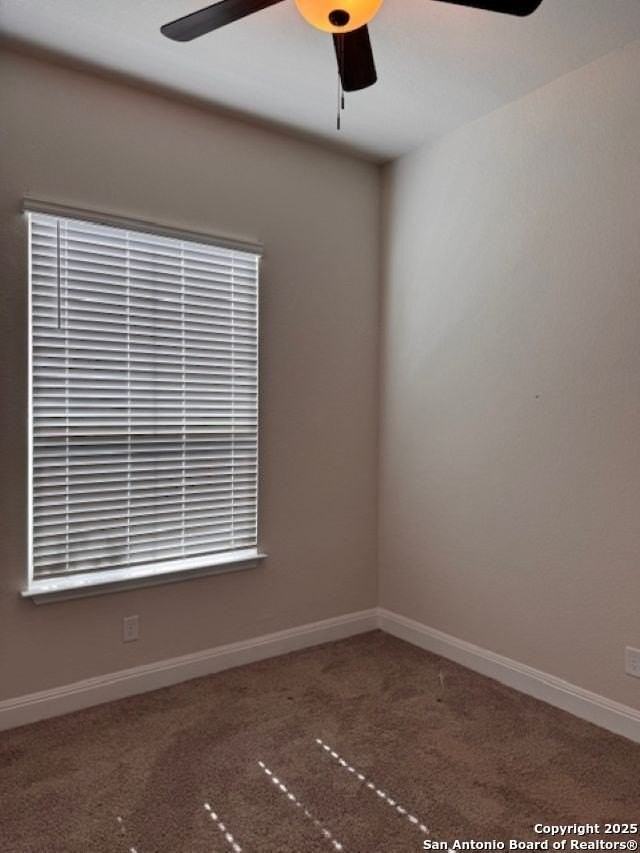 3615 Tinted Copper - Photo 7 of 9