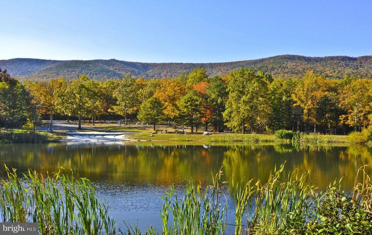 603 Panther Dr - Photo 7 of 38