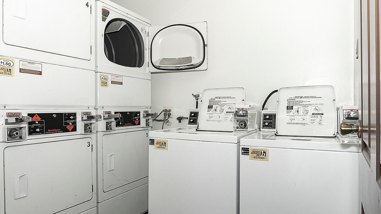 mor113 - Photo 4 of 40