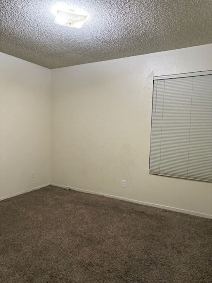 80 Alamos Ave - Photo 3 of 6