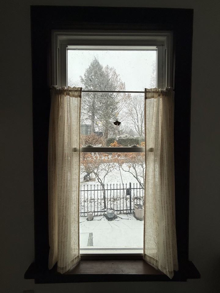 164 Fair St #1 - Photo 5 of 12