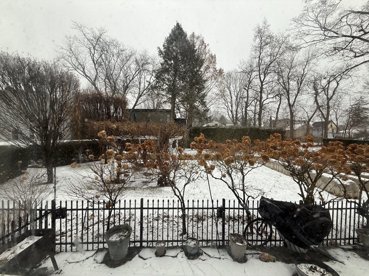 164 Fair St #1 - Photo 6 of 12