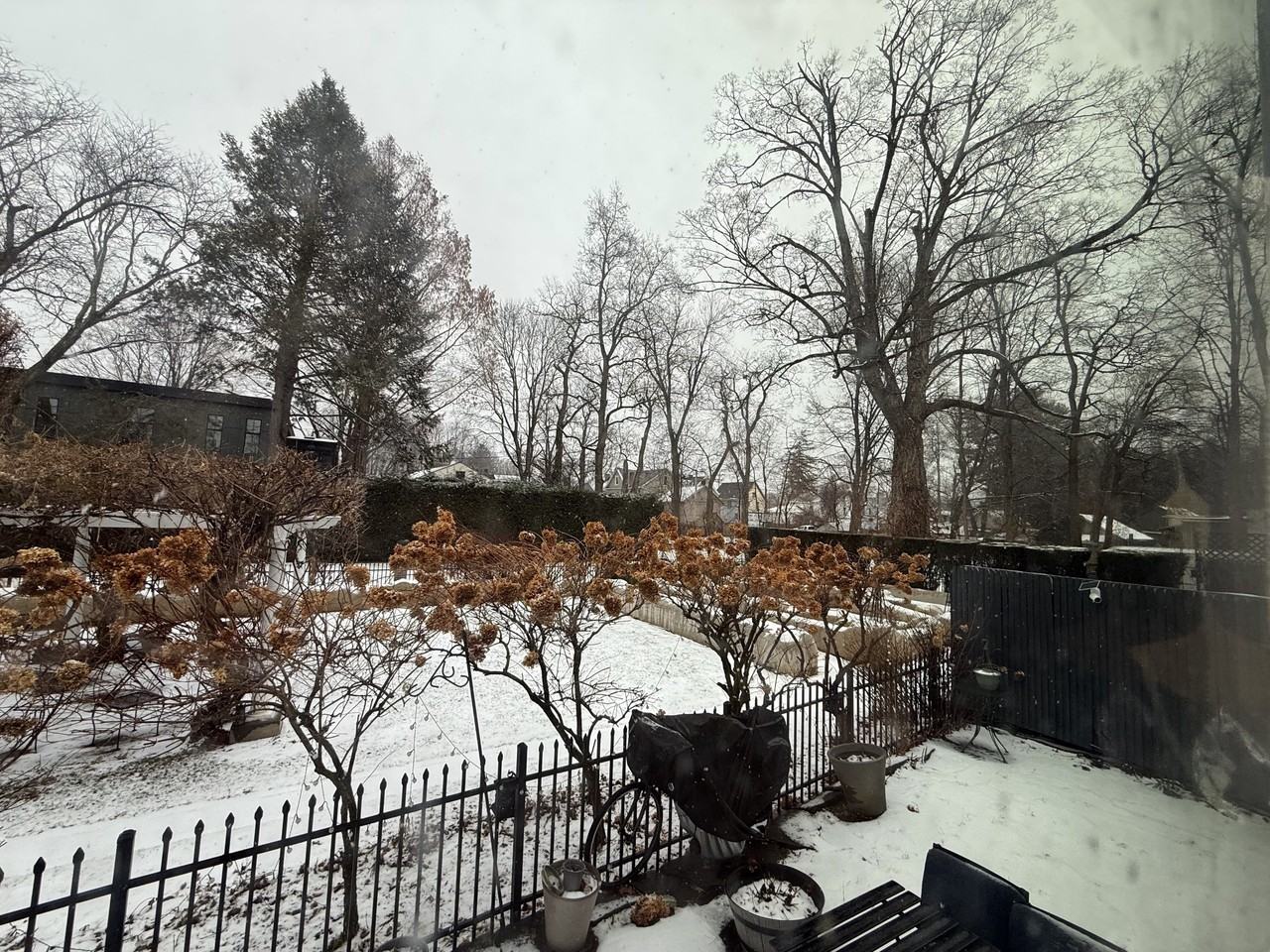 164 Fair St #1 - Photo 7 of 12