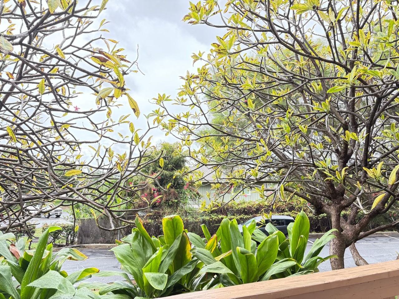 84-664 Ala Mahiku St #185A - Photo 3 of 7