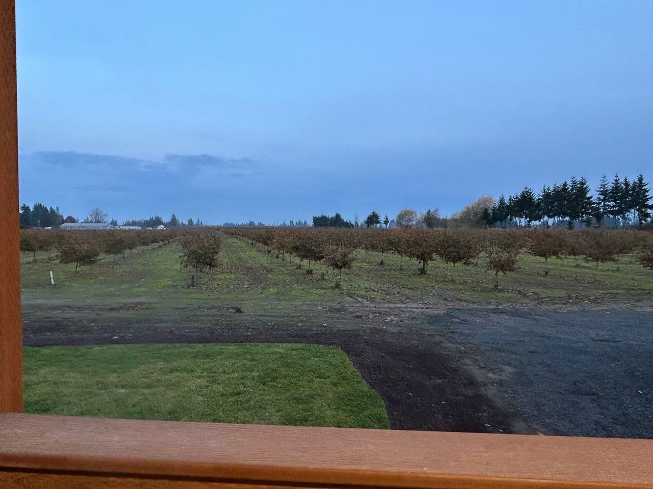 30065 S Meridian Rd - Photo 3 of 13