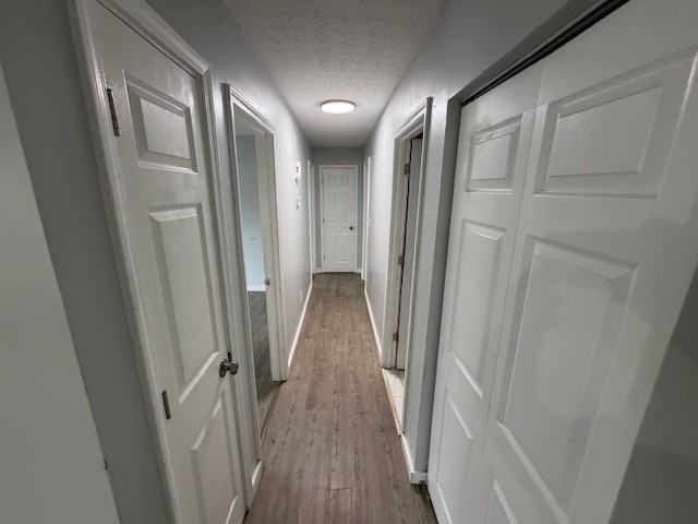 111 Norwood Dr #1 - Photo 5 of 11