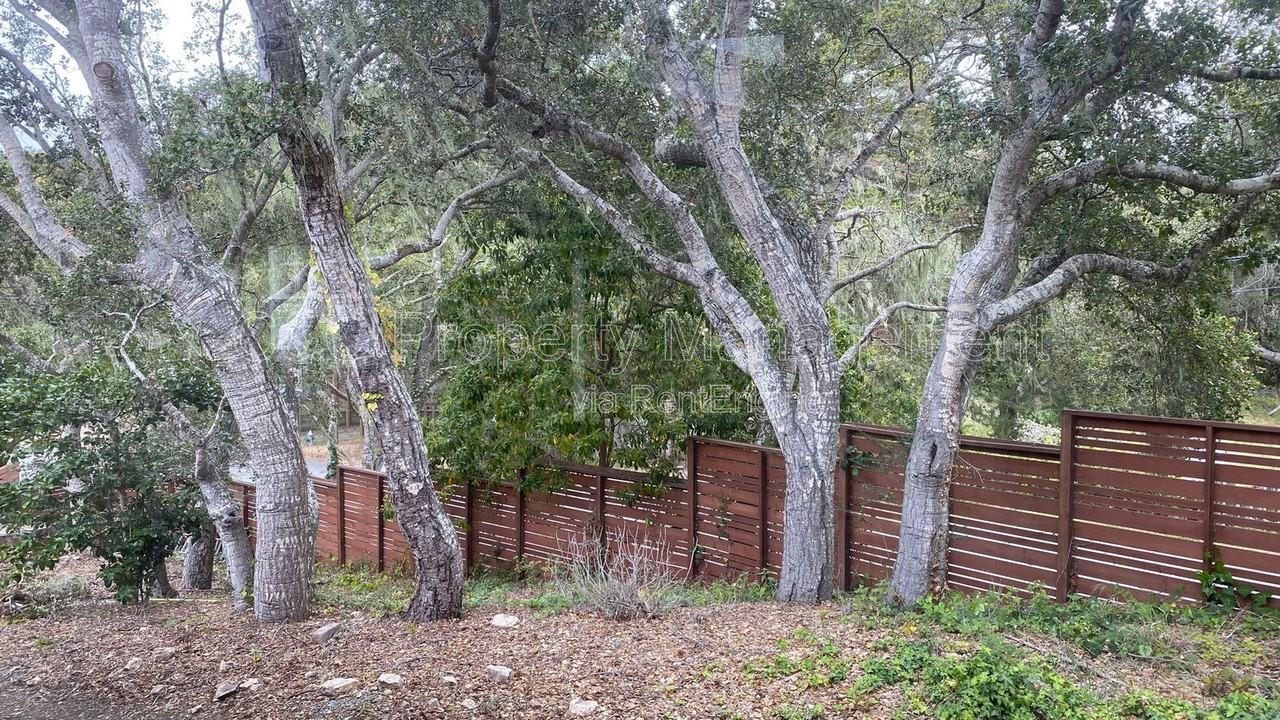 3790 Whitman Cir - Photo 6 of 10