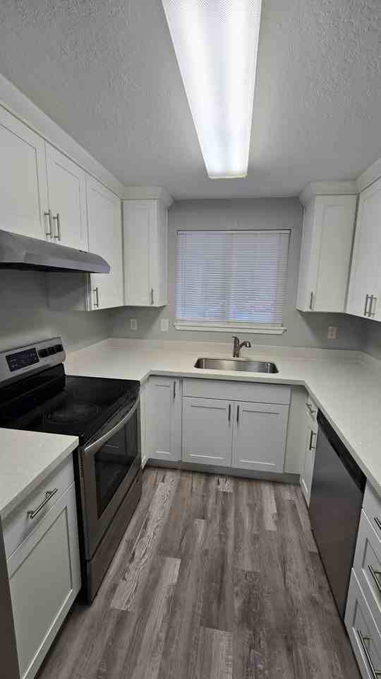 12705 48th Ave Ne #3 - Photo 3 of 17