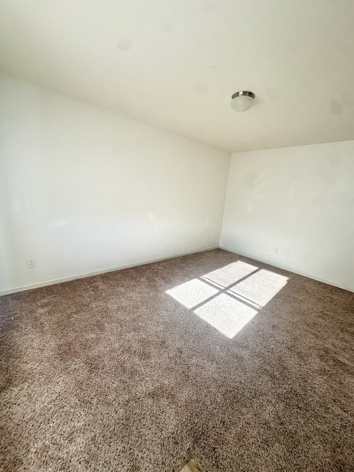 343 Annie Morgan Ct - Photo 5 of 20