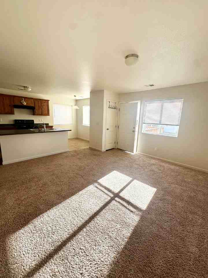 343 Annie Morgan Ct - Photo 7 of 20