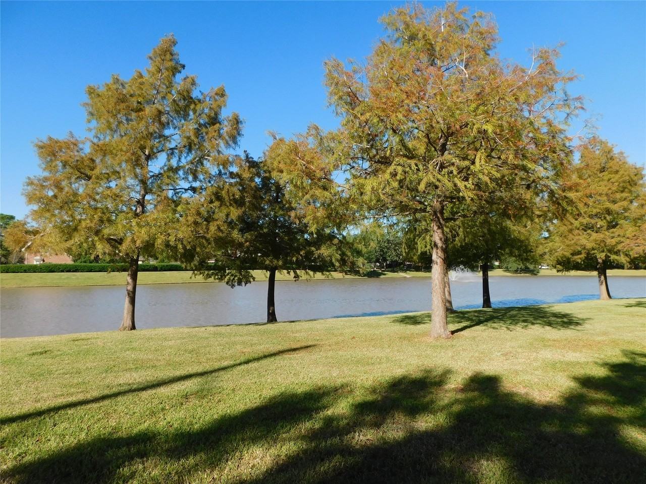 3303 Rimrock Dr #3303 - Photo 5 of 50