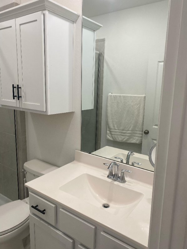 3620 Paloma Falls Ln - Photo 4 of 7