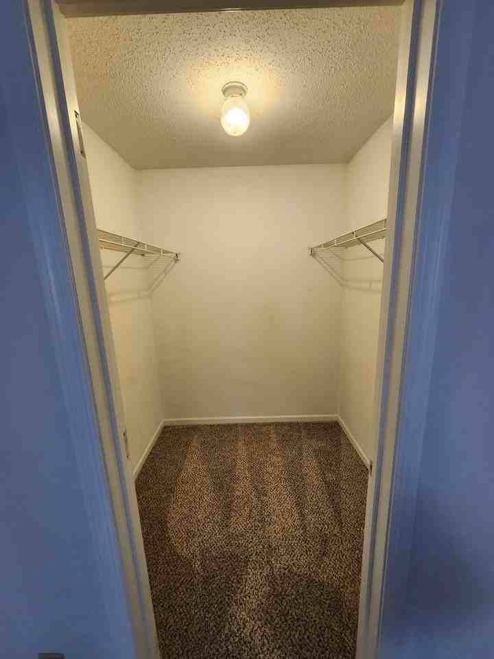 2104 Lincoln Avenue - Photo 7 of 18