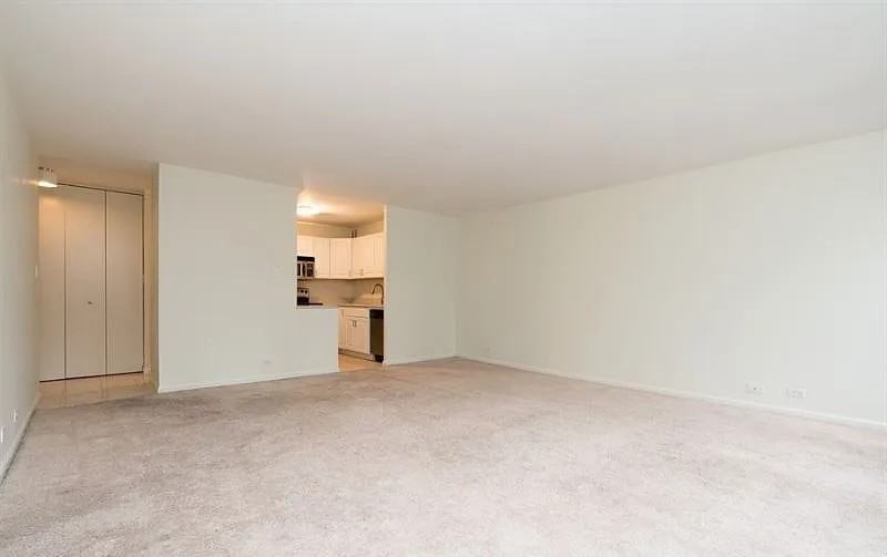 100 E Walton St #10AB - Photo 4 of 11