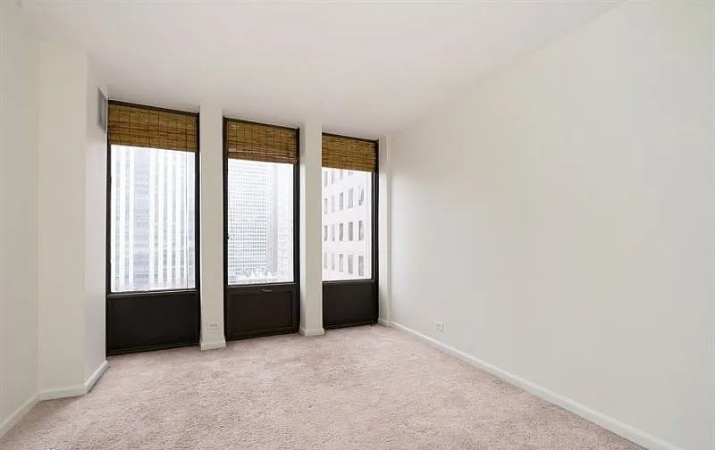 100 E Walton St #10AB - Photo 6 of 11