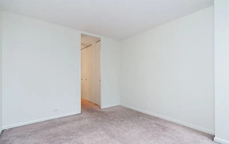 100 E Walton St #10AB - Photo 7 of 11