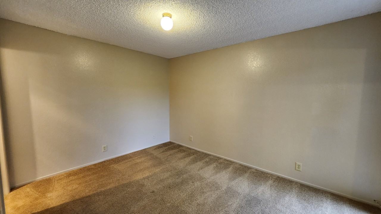 925 Oleander St - Photo 4 of 12