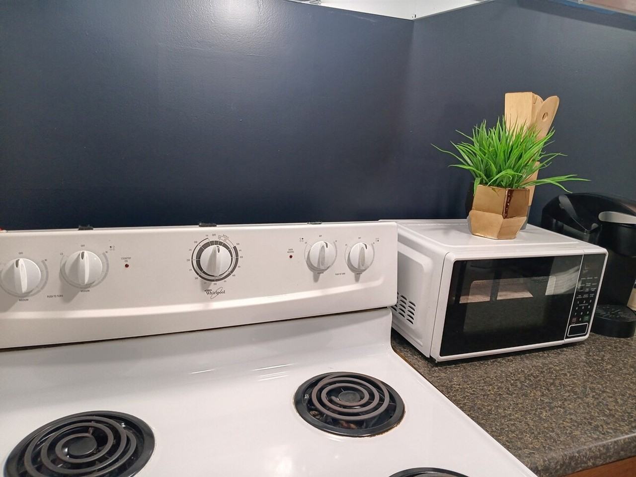 37 Bancroft St #1373636P - Photo 4 of 19