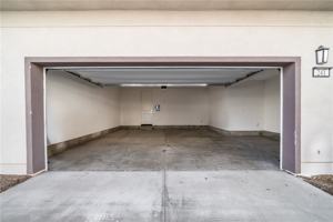 featured image of 241 Culture #241