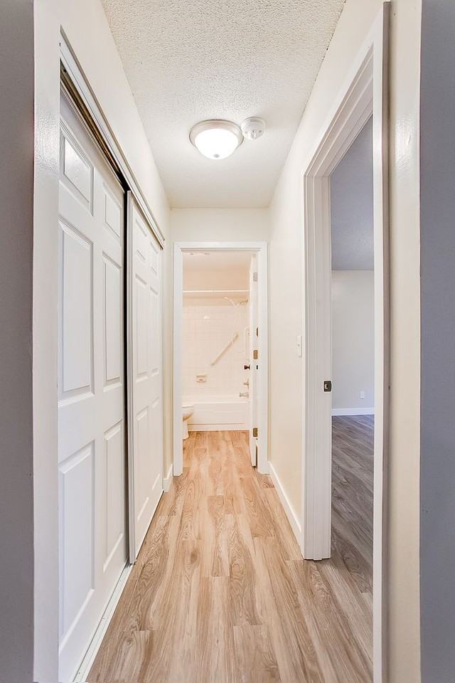 8050 Central Ave Ne #8050-306 - Photo 6 of 26