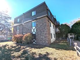 Elgin Pines - Photo 1 of 1