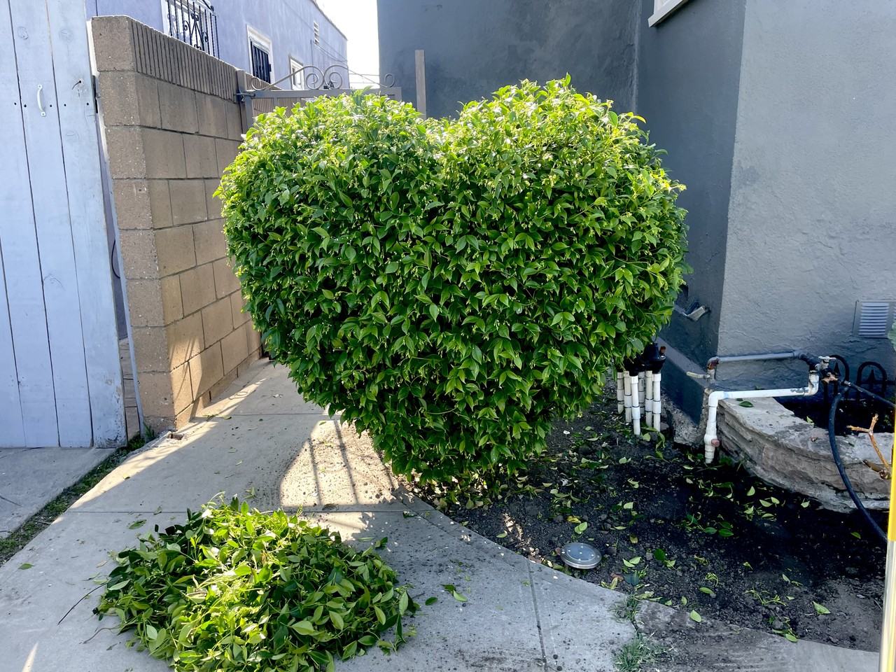 6425 1/2 Haas Ave #0 - Photo 5 of 14