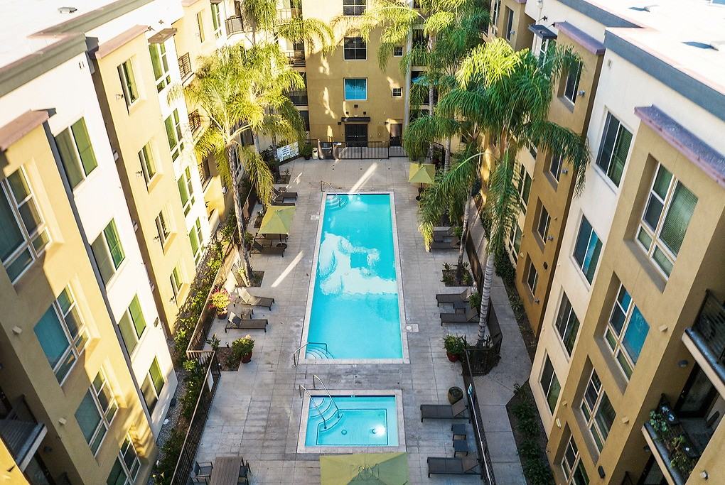 Reveal - Photo 2 of 43