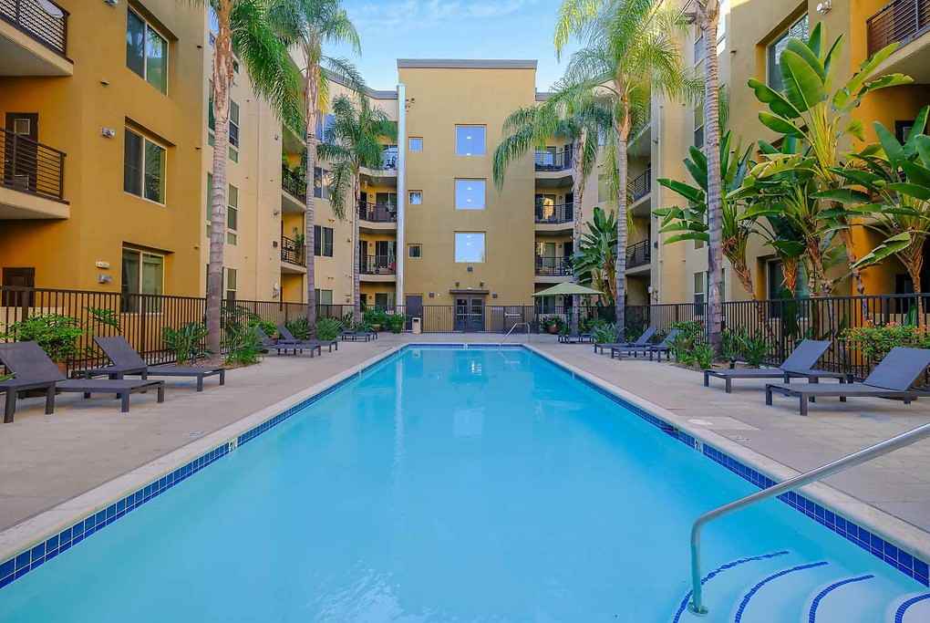 Reveal - Photo 5 of 43