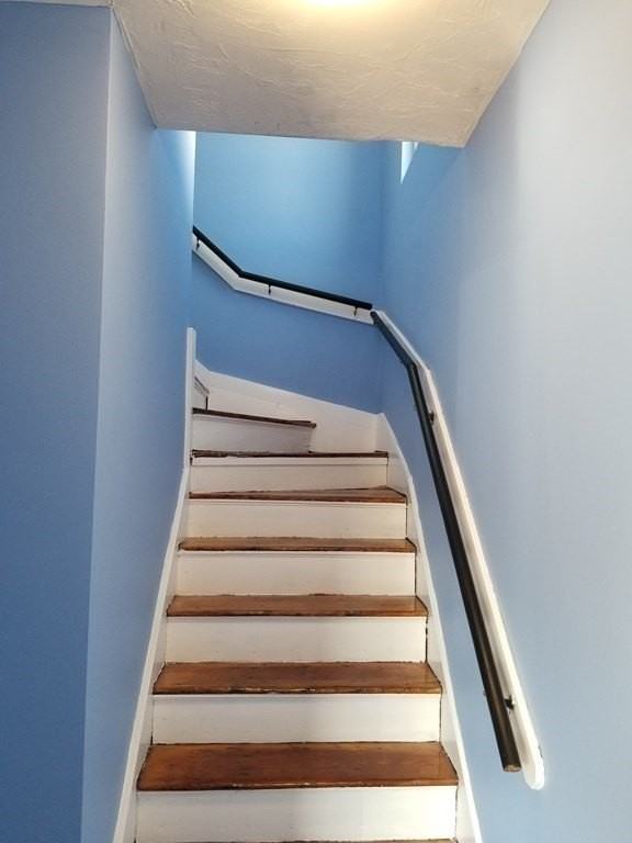 593 Park St Apt 3 #3 - Photo 3 of 29