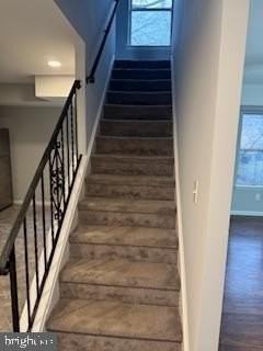 17 Revelle St - Photo 7 of 15