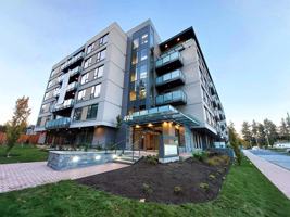 featured image of 494 Goldstream Ave