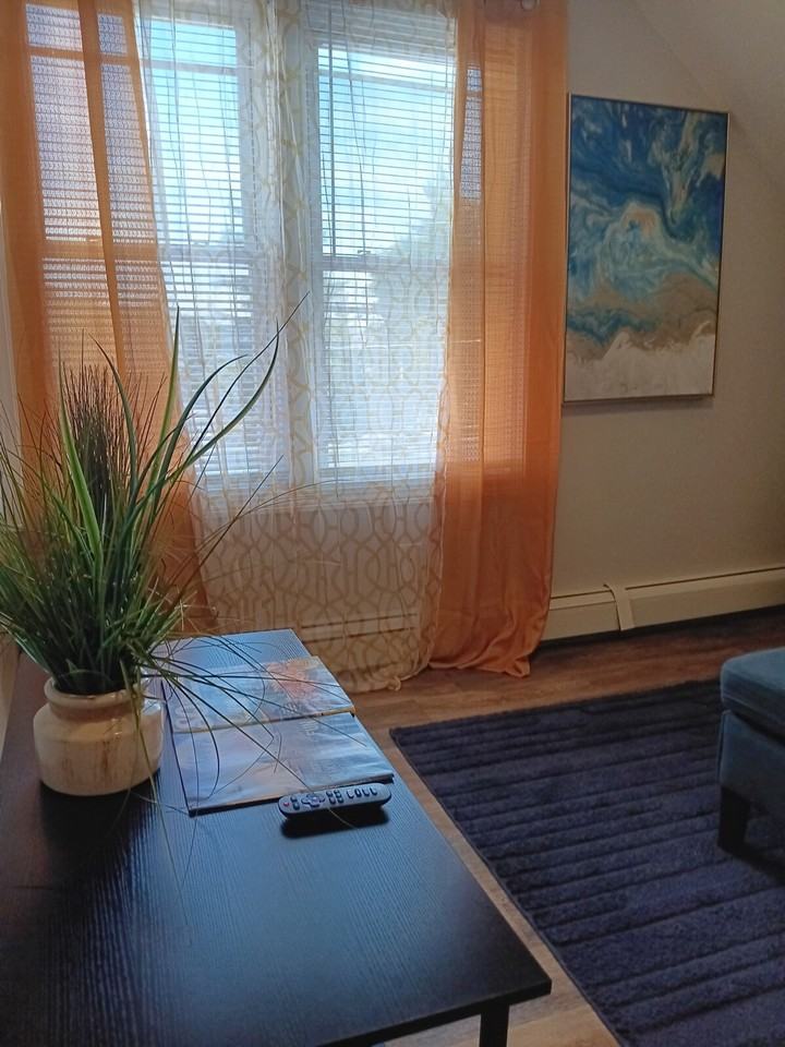 20 Hawkins St #1373656P - Photo 5 of 40